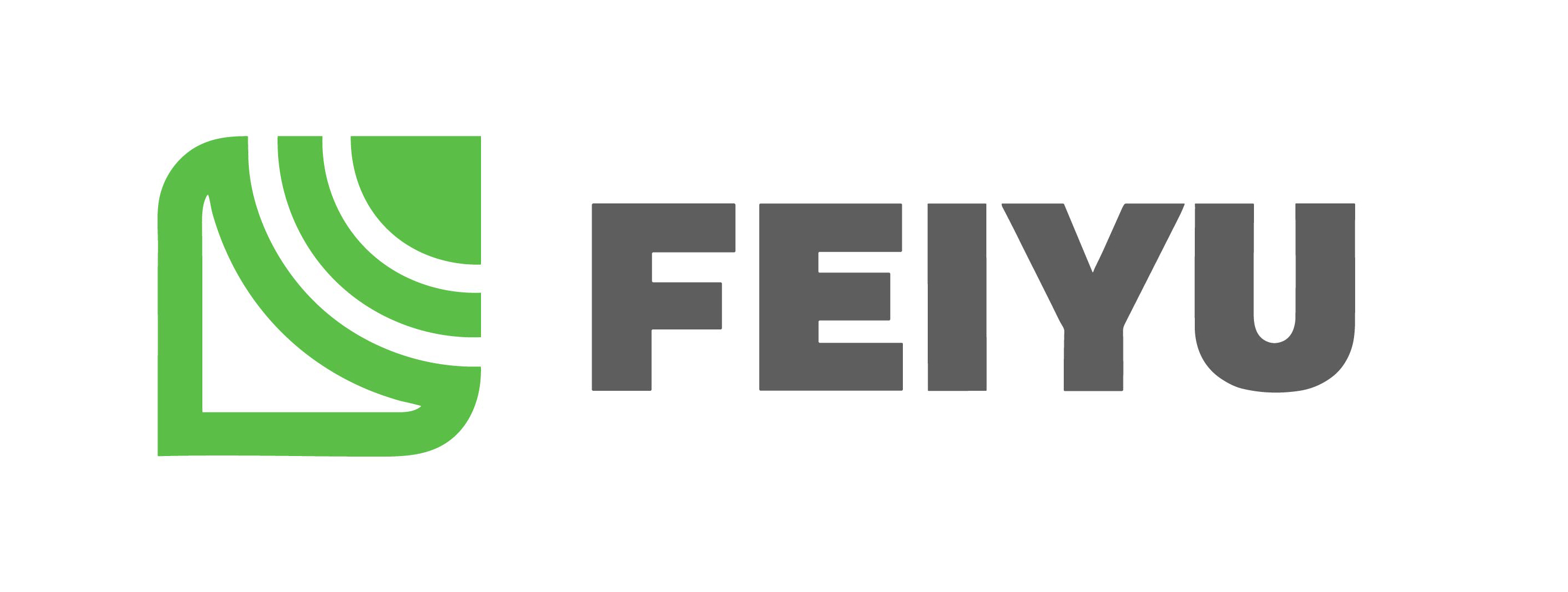 Shenzhen Feiyu Sports Goods Co., Ltd.